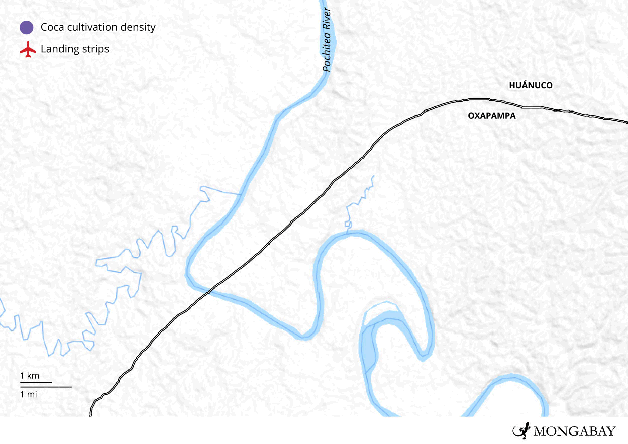 © Andrés Alegría/Mongabay