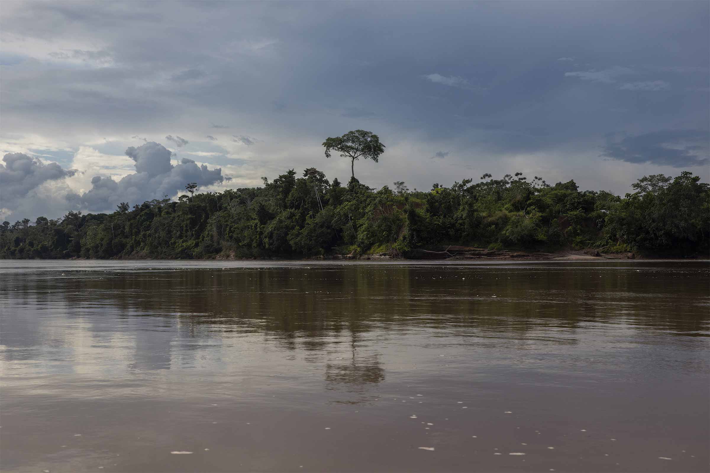 Lush forests can be seen on both sides of the Pachitea River. © Mongabay