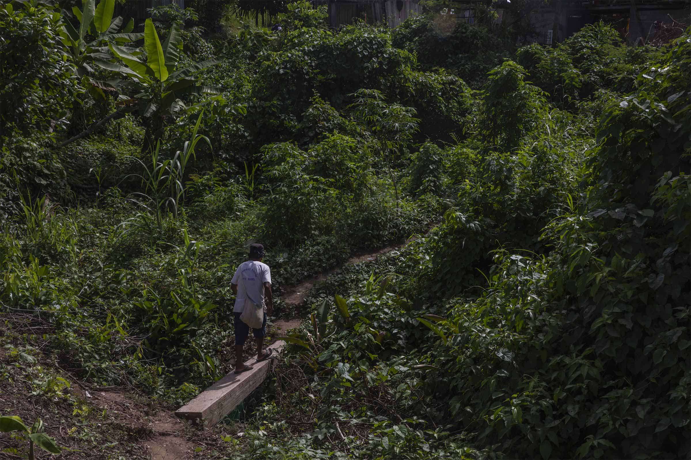 Illegal economies like drug trafficking are hidden in the depths of the central rainforest. © Mongabay