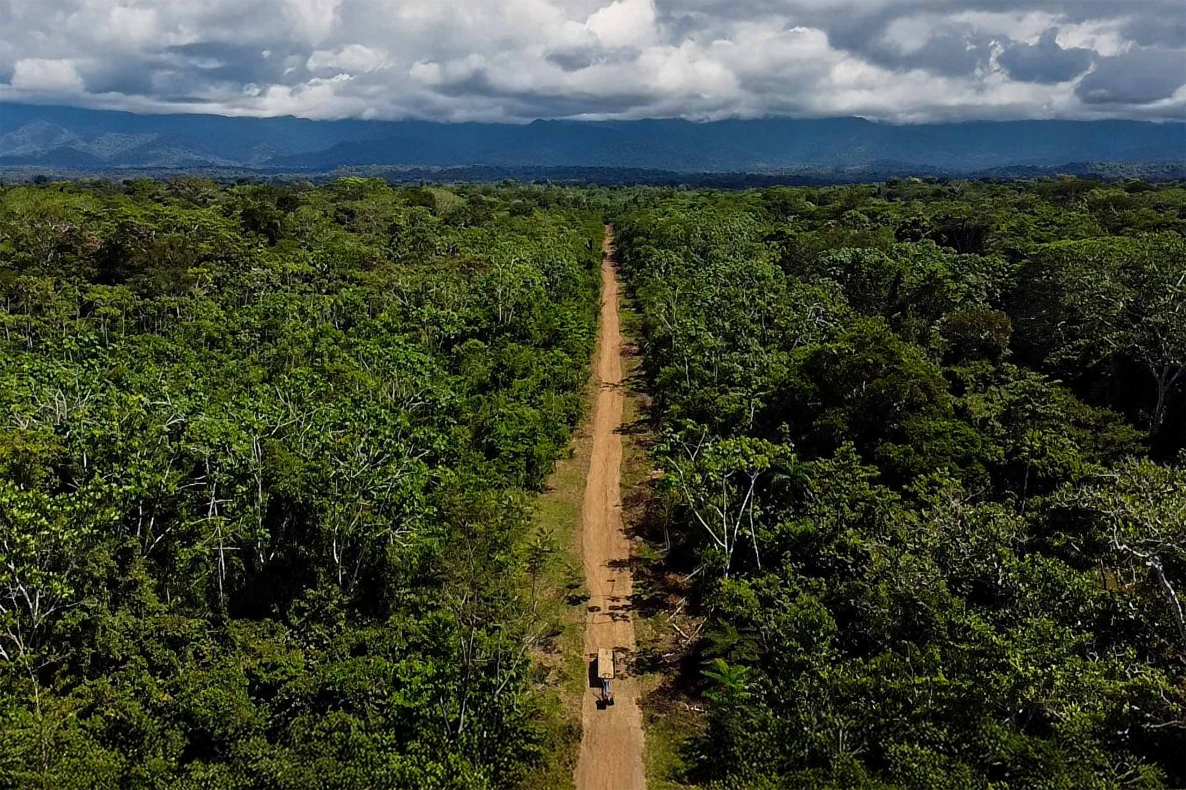 An investigation by Mongabay Latam and Earth Genome identified 45 clandestine airstrips in the rainforest in Peru’s Ucayali department. © Mongabay