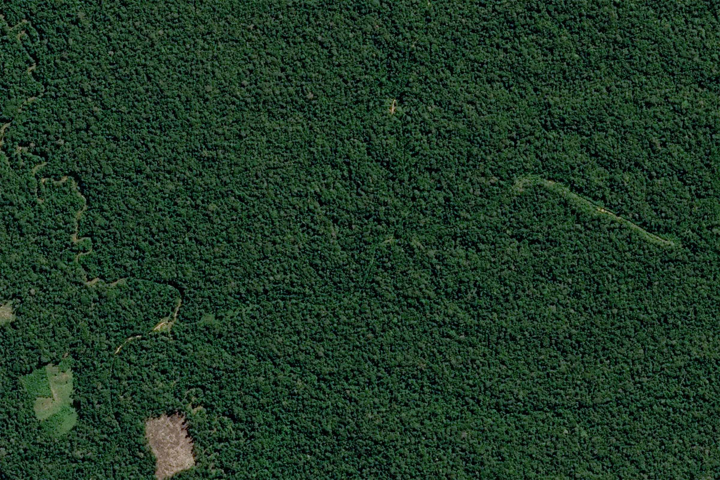An open slash on the left side of the image shows an illegal airstrip in the middle of the forest. © Mongabay