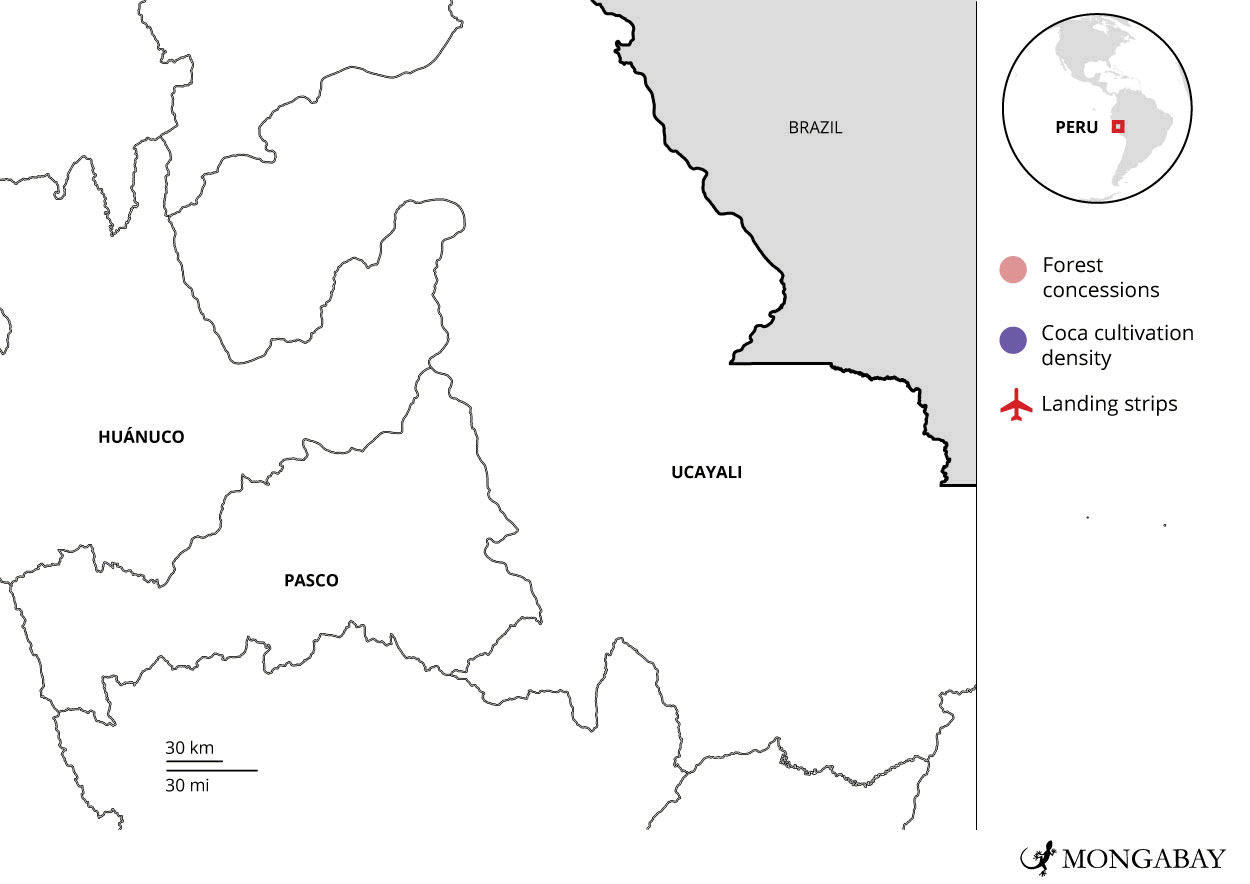 The map shows three layers of information: the location of the 10 concessions, the presence of illicit coca crops, and the clandestine airstrips detected. Image by Mongabay Andrés Alegría.