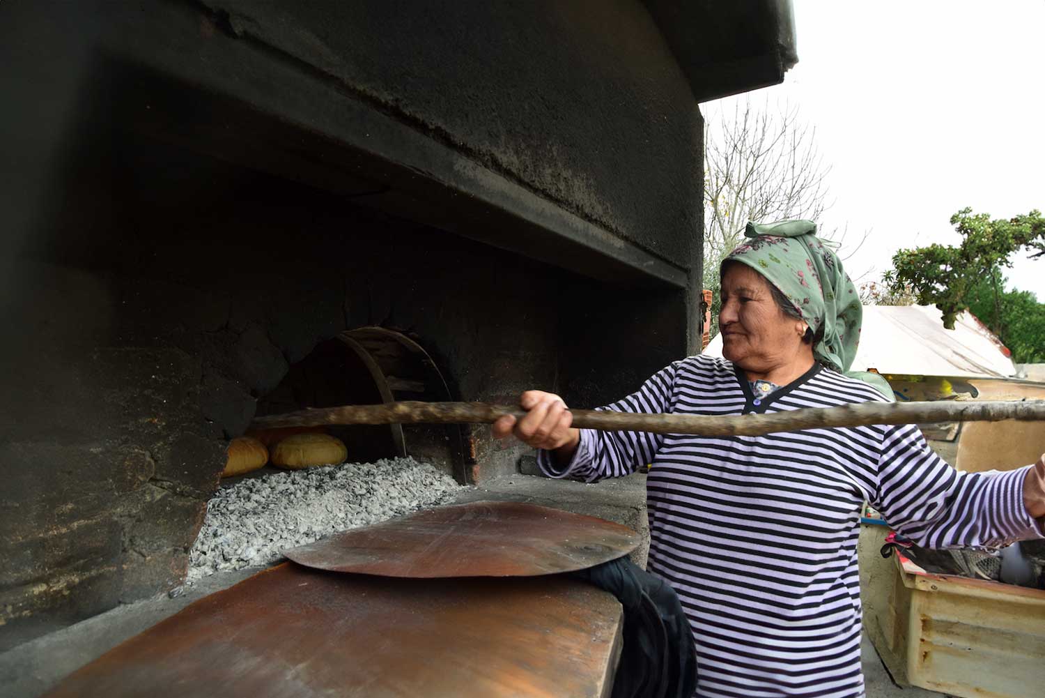 Adalet Kahraman prepares the ancestral bread recipe with Karakılçık wheat. © Ezgi Yeşilbaş